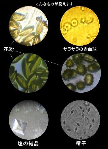 Amazon 小型カード顕微鏡 顕微球 顕微鏡