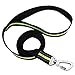 Dog Leash, Itery Reflective Dog Leash Pet Safety Walking and Trainning Leash 6 Feet Length 1 Inch Width (Green)
