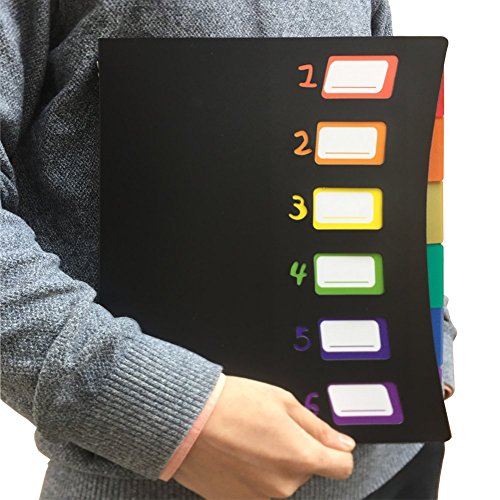 Smart File 6 Pocket Project Organizer folder sorter, notebook folders