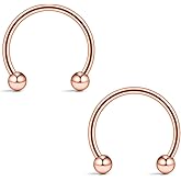 Ruifan 16G 14G Rose Gold CBR Horseshoe Circular Rings 316L Surgical Steel for Lip Eyebrow Tongue Nipple Helix Tragus Cartilage Septum Piercing Jewelry