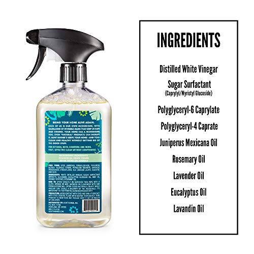 Aunt Fannie's Cleaning Vinegar, Eucalyptus, 16.9 Ounce, 16 fl oz