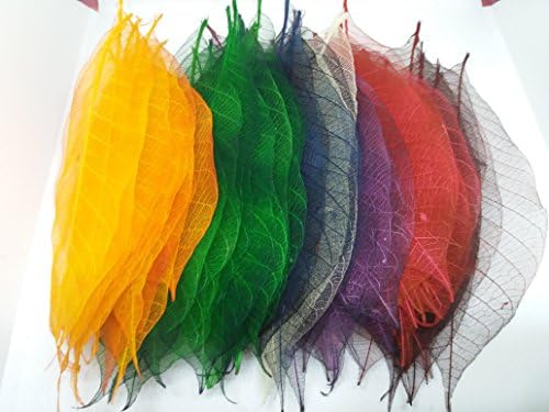 200x Multi-Color Natural Skeleton Leaves Rubber Tree Scrapbook Craft Wedding Decor