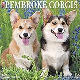 Just Pembroke Corgis 2019 Wall Calendar (Dog Breed Calendar)