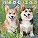 Just Pembroke Corgis 2019 Wall Calendar (Dog Breed Calendar)