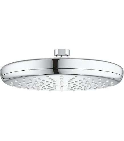 Hansgrohe Pulsify S - Soffione doccia 260, getto singolo, bronzo