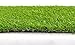 SunVilla Artificial Grass Rug Indoor Outdoor, Realistic Thick Synthetic Fake Grass Mat for Dogs, Garden Lawn Landscape Patio Grass (2 in X 3 in - Sample)