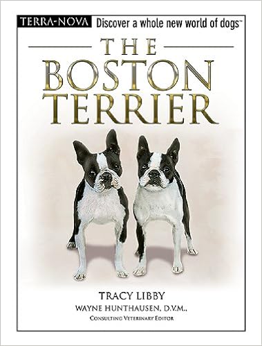 The Boston Terrier (Terra-Nova) �n�[�h�J�o�[  - 2005/8/31