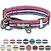 Blueberry Pet Safety Dog Collar with Dual D-Rings | 3M Reflective Multi-Colored Adjustable Collar in Pink, Emerald and Orchid | Soft Nylon Dog Collar for Active Medium Dogs