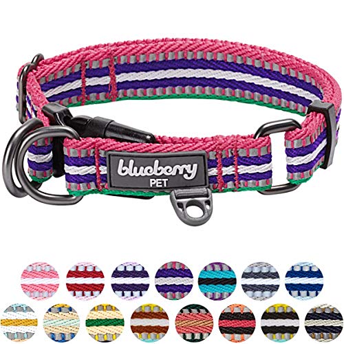 Blueberry Pet 15 Colors 3M Reflective Multi-Colored Stripe Adjustable Dog Collar, Pink Emerald and Orchid, Medium, Neck 14.5″-20″