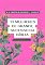 Livro 13 mulheres de grande sucesso da Bíblia:: Descubra seus segredos para o sucesso.