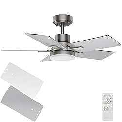 Regair Ceiling Fan 32 Inch, Remote Control DC