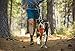 RUFFWEAR - Front Range, Everyday No Pull Dog Harness with Front Clip, Trail Running, Walking, Hiking, All-Day Wear, Campfire Orange, Large/X-Large