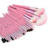 Glow 30 Pc Professional Wooden Handle Make up Brushes Set in Pink Case