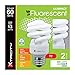 Xtricity Compact Fluorescent Light Bulbs T2 Spiral, E26 Base, 13W (60W Equivalent), 5000k Daylight, 900 Lumens, CFL, 120V - UL Listed, (4 Pack)