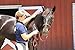 Oster 827570 Equine Care Series Mane & Tail Comb Pink