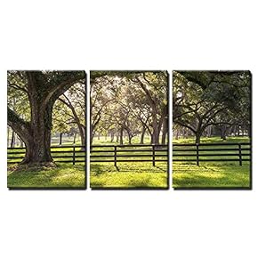 3 Piece Canvas Wall Art - Large Oak Tree Branch with Farm Fence in The Rural Countryside Looking Serene - Modern Home Art Stretched and Framed Ready to Hang - 16"x24"x3 Panels