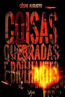 Livro Coisas quebradas e brilhantes