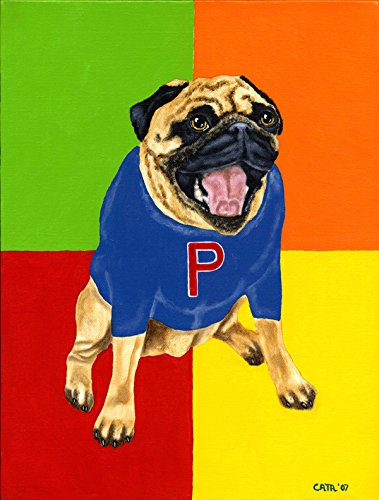 Carolines Treasures Amb1068Gf Go Team Varsity Pug Garden Flag, Small, Multicolor