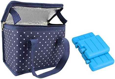 TEAMOOK Wave Point Design Thermal Insulated lunch bag Cool Bag Softer Cold Box 6 cans with 3 Mini Freezer Blocks