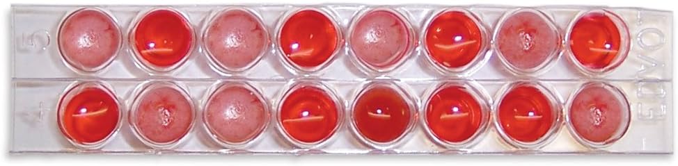 Edvotek 191 EDVA7 Forensics Blood Typing Kit for 10 Groups