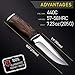 Hunting Knife - Survival Knives with Sheath - Engraved Fixed Blade Knife - Hunter Bushcraft Bowie Knofe - Classic Long Blade Knifes with Wood Handle for Men - Best for Hunting Camping Defense 2428