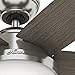 Hunter Fan Avia 54” Ceiling Fan with Burnt Walnut/Autumn Walnut Reversible Blades