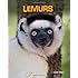 How To Lose A Lemur Frann Preston Gannon 9781454911319 Amazon Com Books