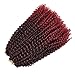 Refined Hair passion twist hair 12inch 6packs/lot Ombre Malibob Jerry Curly Twist Hair 22 Strands Synthetic Crochet Braids Freetress Braiding Hair Extensions (12 inch, TBUG)