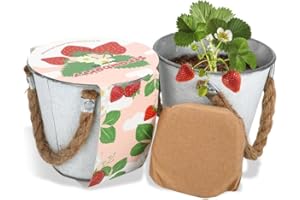 EZOON Mini Grow Pots Indoor Outdoor, Strawberry Fruit Growing Kit with Soil, Gardening Starter Gifts Party Event Favors