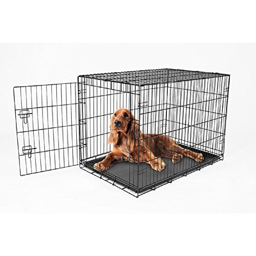 Best Dog Crate Reviews for a Snuggly Den Hellow dog