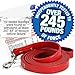 Logical Leather 6 Foot Dog Leash - Best for Training - Heavy Full Grain Leather Lead - Red