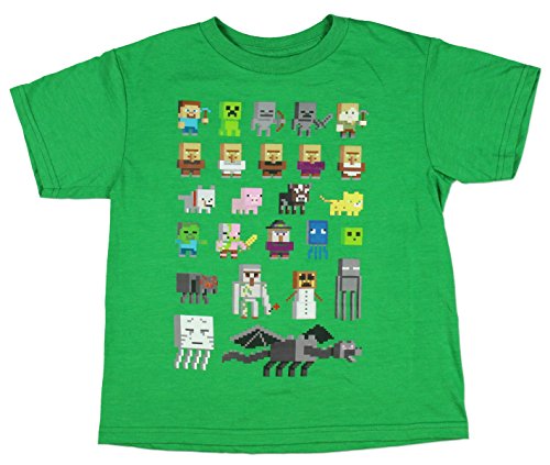 Minecraft Character Short Sleeved Big Boys Tee (XL, 14/16, Kelly Green)