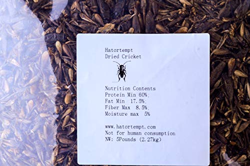 Hatortempt 5lbs Dried Cricket for Chicken,Wild Bird,Fish,Reptiles