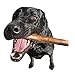 Craving Canine Grade A USA Deer Antlers for Dogs! Odorless, Split Resistant Horns for Aggressive Chewers! Long Lasting & Easy to Digest Antler Full of Glucosamine for Healthy Joints! 1 lbs (XLarge)