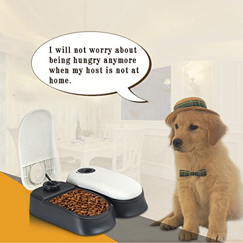 Outlet Cusfull Automatic Pet Feeder Pet Feeding Bowl For Dog And