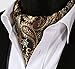 HISDERN Men's Paisley Floral Jacquard Woven Self Cravat Tie Ascot