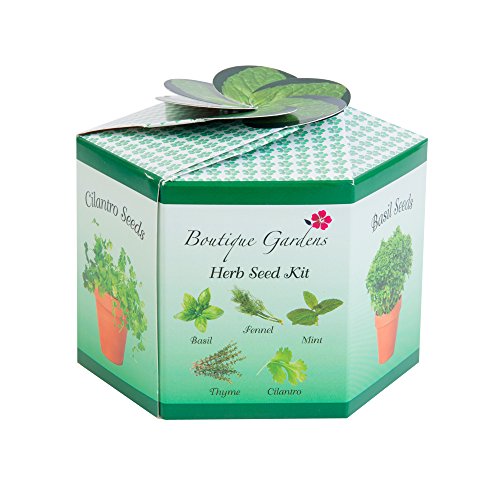 Herb Garden Starter Kit 5 Seed Kit With Everything A Gardener Needs The Ultimate Gardening Gift Set On Galleon Philippines