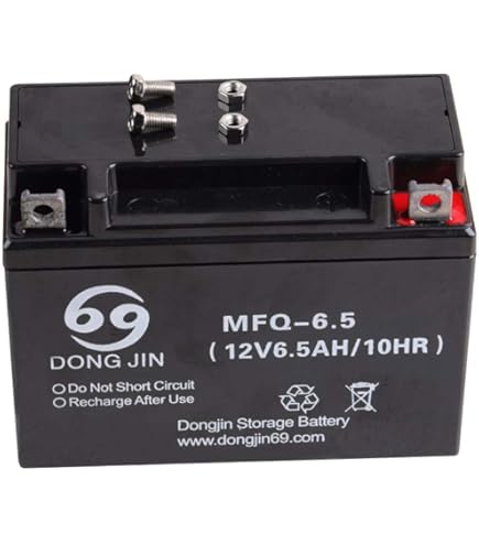 ACRB　５０ Amazon.com: ICONSPORTSS 12V 6.5AH MFQ-6.5 AGM Sealed Maintenance