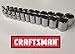 Craftsman 23 Piece 1/4