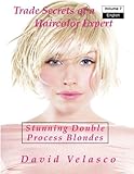 Stunning Double Process Blondes (Trade Secrets of a Haircolor Expert) (Volume 7)