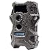 Wildgame Innovations Cloak Pro 12 Lights Out Black Flash Trail Camera