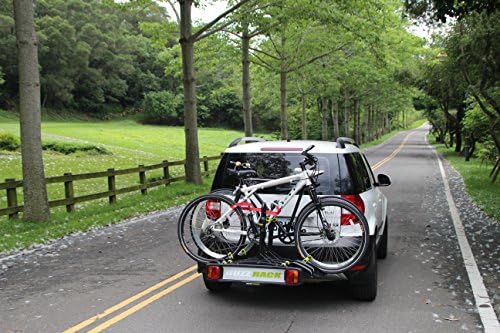 buzz rack buzzy bee 4