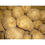 北海道産　北あかり(ゴールデンポテト)　新じゃがいも　Lサイズ　10ｋｇ