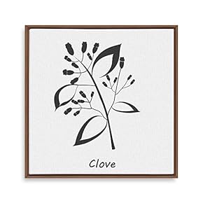 Framed Canvas Wall Art for Living Room, Bedroom Nordic Style Plants Theme Canvas Prints for Home Decoration Ready to Hang - 16x16 inches