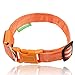 ILLUMISEEN LED Dog Collar USB Rechargeable - Bright & High Visibility Lighted Glow Collar for Pet Night Walking - Weatherproof, in 6 Colors & 6 Sizes (Orange Small)