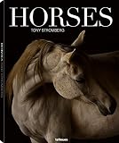 Stables Beautiful Paddocks Horse Barns And Tack Rooms