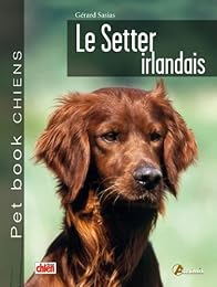 Le  setter irlandais
