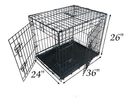 ellie bo gold dog crate