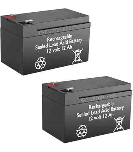 Amazon.com: BatteryGuy Buzzaround EX 3-Wheel (GB118) Replacement