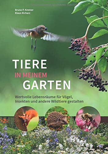 Tiere In Meinem Garten Wertvolle Lebensraume Fur Vogel Insekten Und Andere Wildtiere Gestalten Amazon De Bruno P Kremer Klaus Richarz Bucher